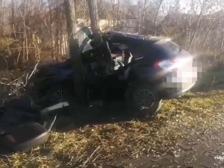 В Старооскольском округе иномарку смяло при ударе о дерево: пострадал водитель