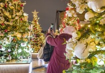 Наступающий 2026 год пройдет под покровительством Красной Огненной Лошади — символа неукротимой энергии, стремительных перемен и ярких побед. Это год смелых решений, активных действий и кардинальных изменений. Огненная стихия наделит его жаждой достижений, а цвет Красный сулит страсть, напор и решимость. Для каждого знака зодиака этот мощный союз проявится по-своему, диктуя уникальную стратегию поведения в водовороте событий.