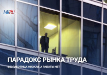 Во вторник, 18 ноября, в 15:00 пройдет прямой эфир о ситуации на рынке труда