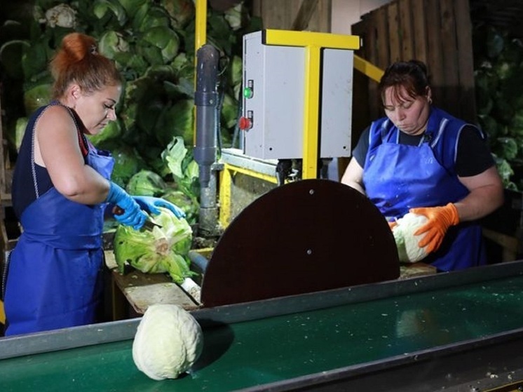 Третий агроагрегатор начал поставки продуктов в ярославские торговые сети