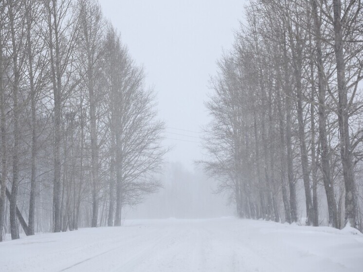 Южноуральских водителей предупреждают о непогоде