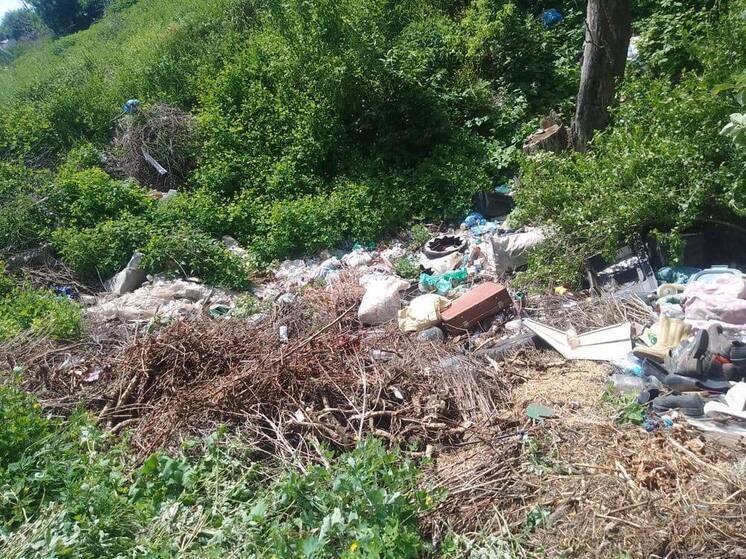 Свалка возле реки Машня в Земетчинском районе ликвидирована по требованию прокуратуры