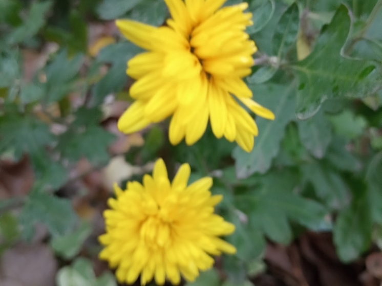 Сила магнитной бури 18 ноября составит 3 балла: удачная пора для любых начинаний