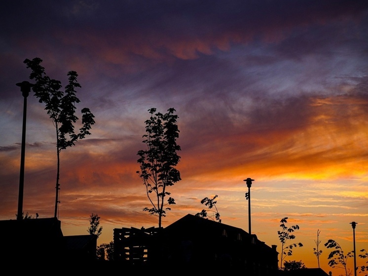 Жителей Тульской области 17 ноября напугал вой сирен