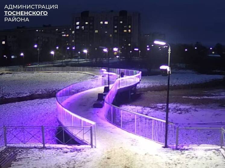 Тосно присоединился к всероссийской акции «Мне не фиолетово»