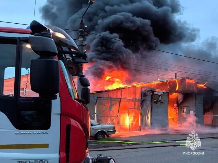 Тулячка оценила работу МЧС во время страшного пожара в автосервисе на Штыковой
