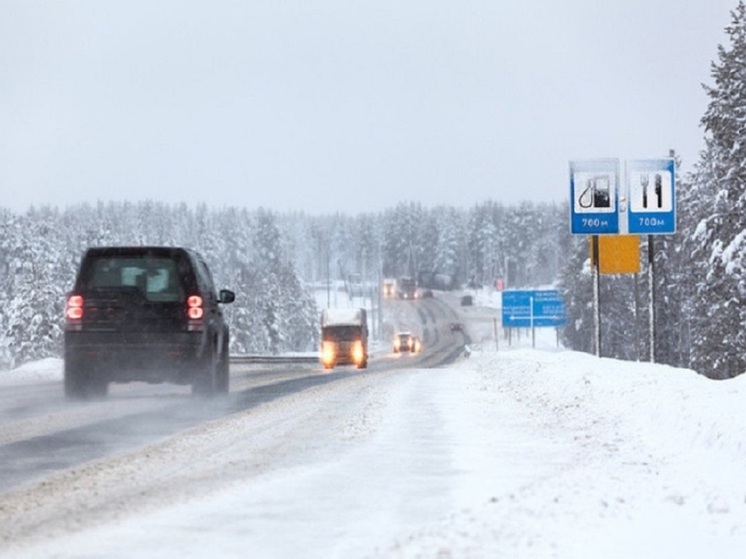 Губернатор Сергей Ситников потребовал смещения руководства компании «Холмогоры»