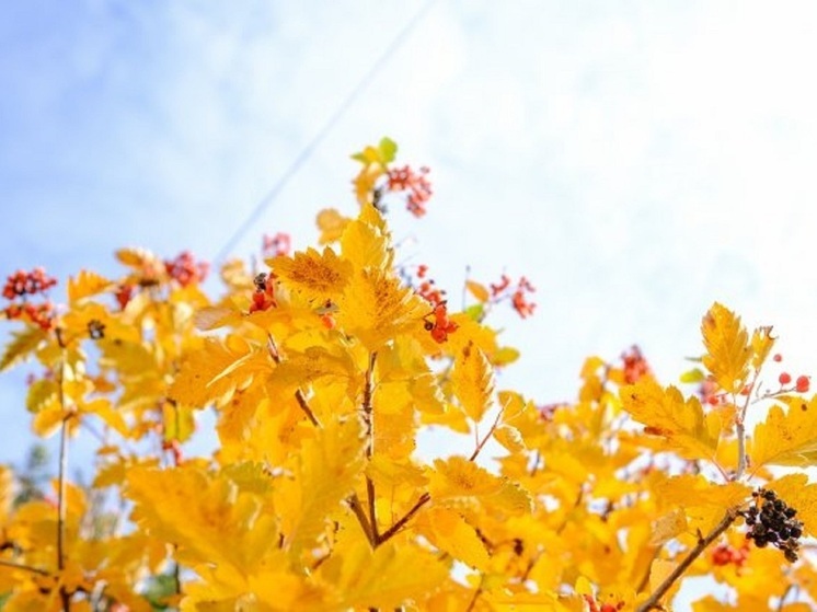 Астраханскую область 18 ноября ждет переменная облачность при +14 градусах