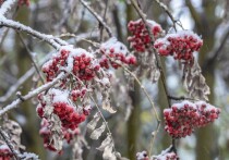 Вот и подходит к концу осень, а 18 ноября 2025 года на календаре — особый день, когда в народном календаре сплелись память о святых и древние суеверия. На Руси эту дату знали как Галактионов день, или Праздник Млечности. Считалось, что в это пограничное время, когда осень окончательно сдает позиции зиме, приоткрывается завеса между мирами. А значит, одни действия могут привлечь удачу, а другие — навлечь неприятности.