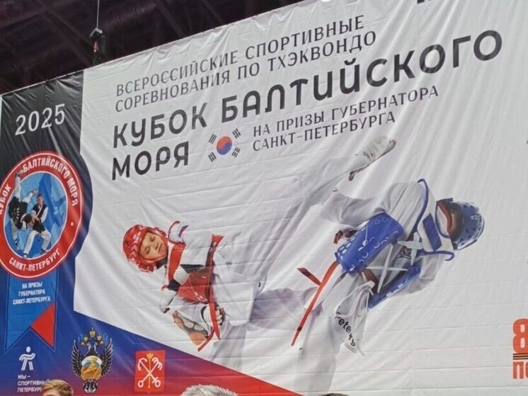 Новгородец одолел москвича на турнире по тхэквондо «Кубок Балтийского моря»