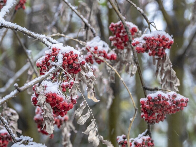 Россиянам объяснили, что 18 ноября в Галактионов день нельзя подписывать документы