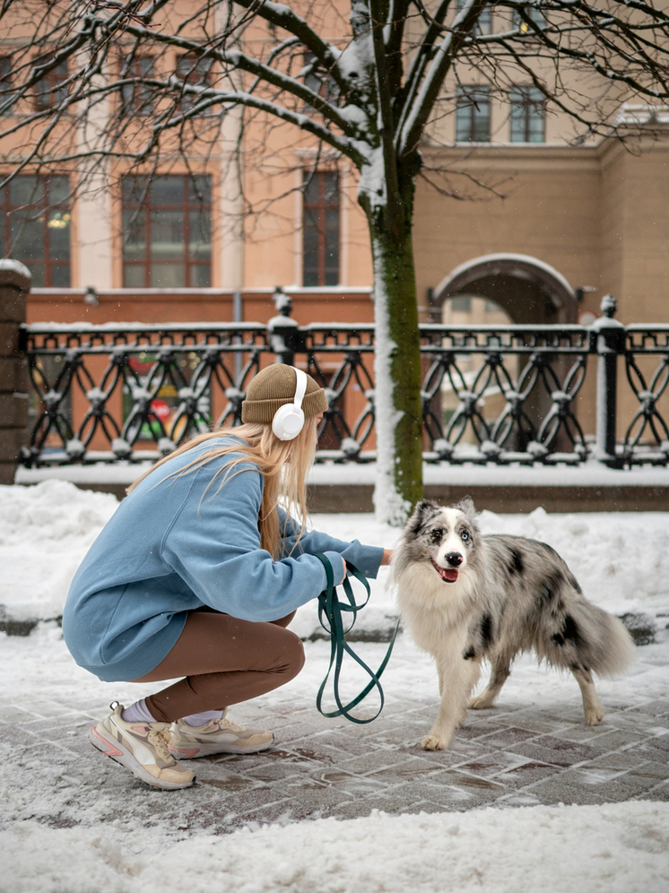 Тамбовским владельцам собак напоминают о защите лап питомцев зимой