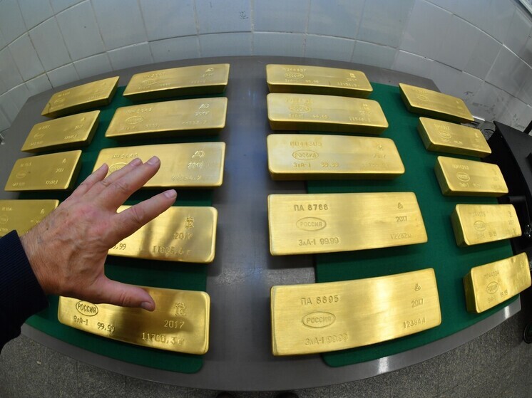 Немец пытался вывезти из России 21 золотой слиток стоимостью 108 млн рублей