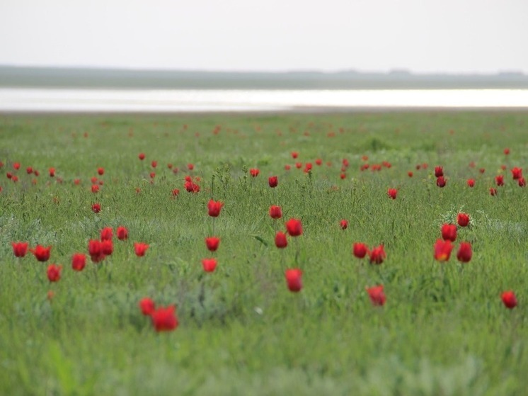 Фотоработы калмыцких авторов будут представлены на выставке в Адыгее