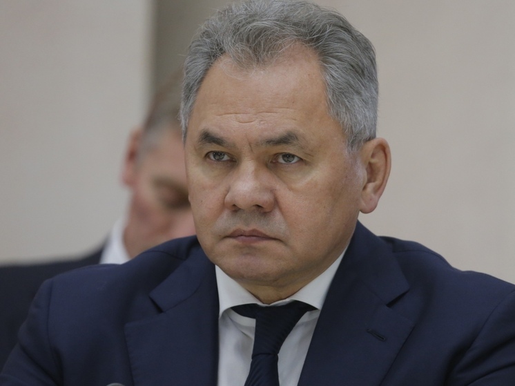 Диверсионная группа, действовавшая в Москве по заданию украинских спецслужб, готовила на Троекуровском кладбище покушение на секретаря Совета Безопасности РФ Сергея Шойгу