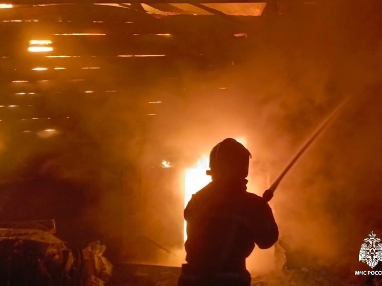 Минувшая неделя в Костромской области ознаменовалась двумя огненными трагедиями
