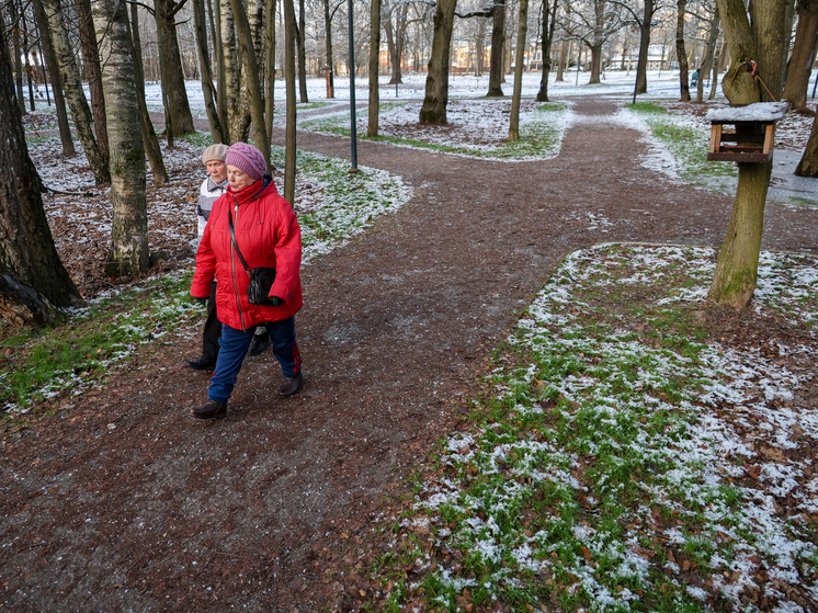 Вильфанд: температура в Москве 18 ноября может побить рекорд