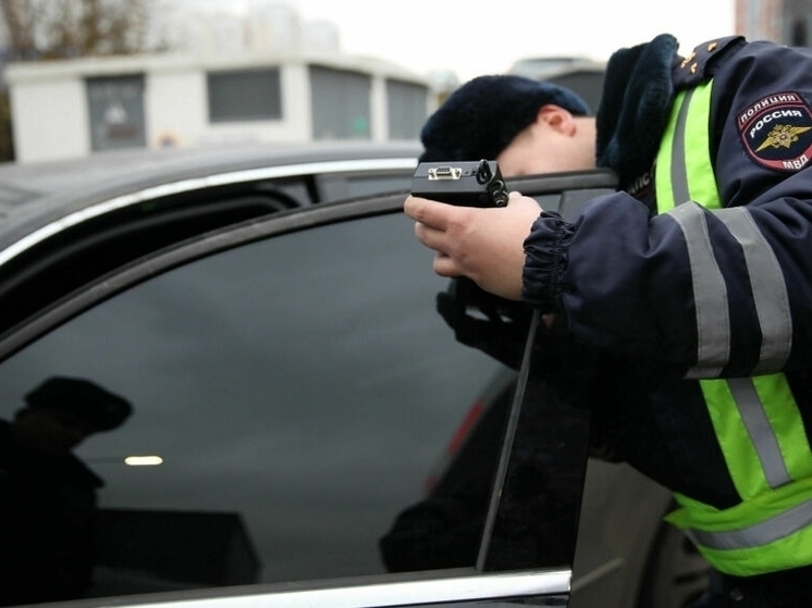 В Ярославле любитель густой тонировки отказался слушаться полицию.