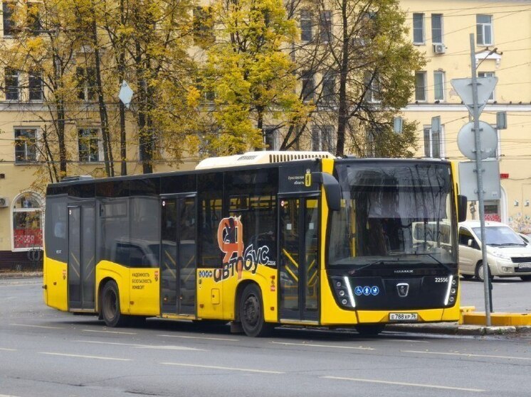 В Ярославле правительство ищет перевозчика на новый маршрут