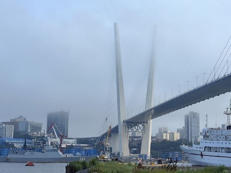 Новый порядок вручения знака «Жителю блокадного Ленинграда»: что изменилось для приморцев