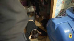 ОПГ риелторов-мошенников задержали в Чите