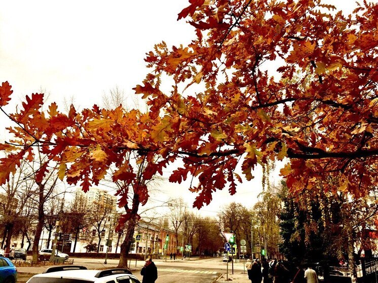 Во вторник в Воронежской области потеплеет до 16 градусов