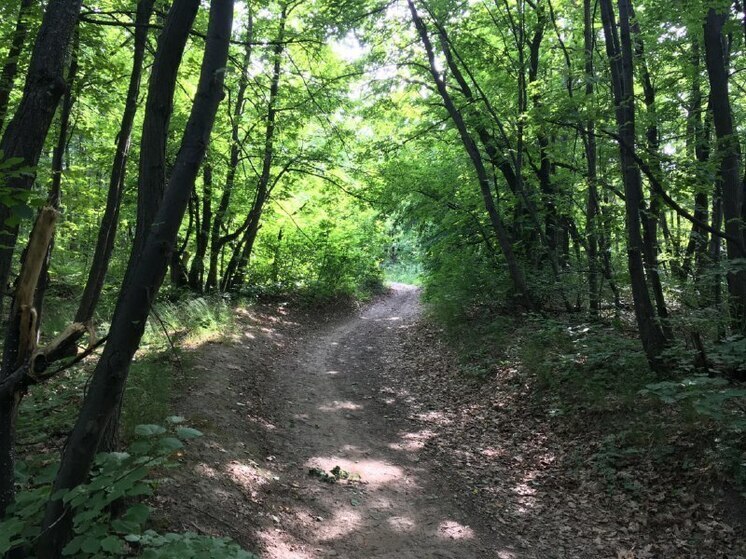 В Вольском районе охотник напал на инспектора во время проверки