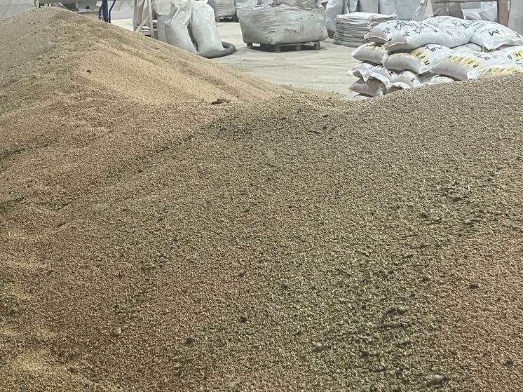 На одного жителя Орловской области приходится 7 тонн сельхозпродукции