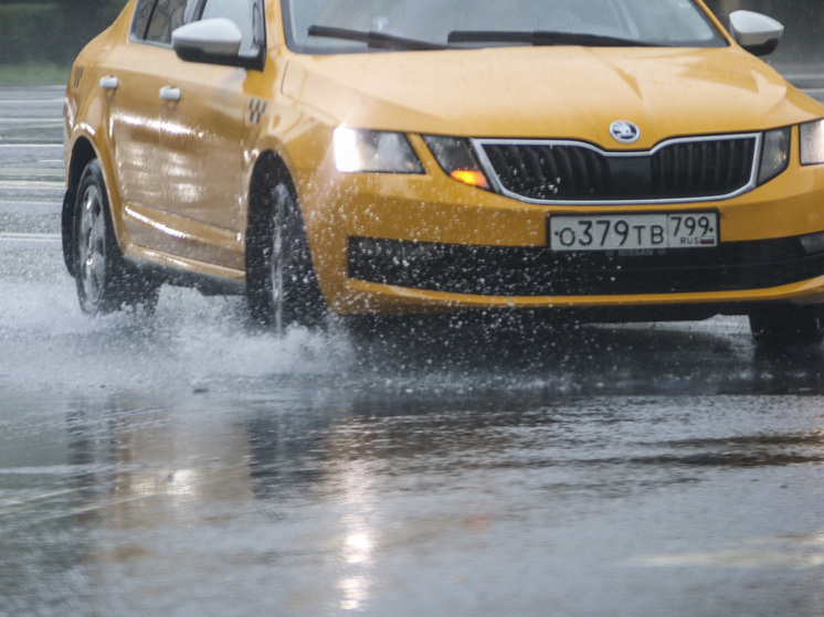 Тишковец: в Подмосковье за сутки выпало до половины месячной нормы осадков
