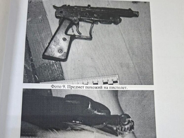 Пенсионер убил сына из самодельного оружия в Забайкалье