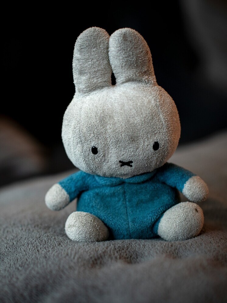 В Улан-Удэ пьяный мужчина украл 30 мягких игрушек