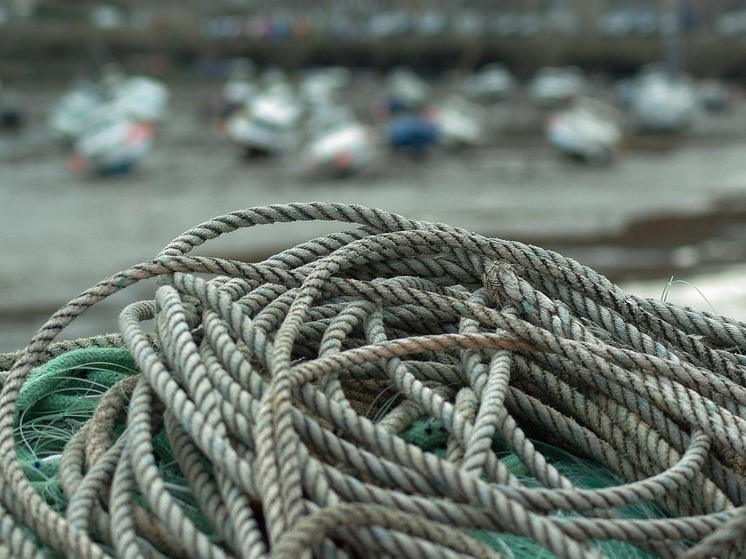 Работник морского порта погиб во время погрузки: СК начал расследование