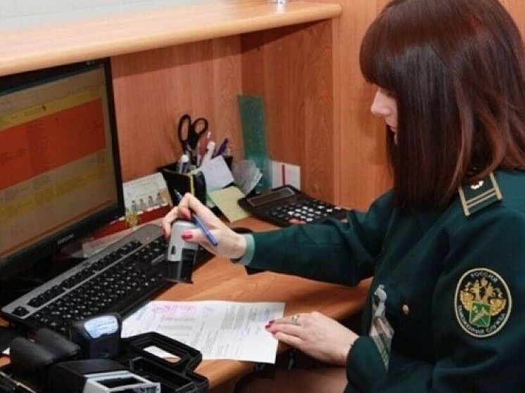 Жительница Владимира попыталась похитить 300 тысяч рублей у государства через таможню