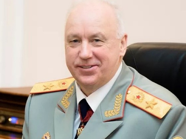 Бастрыкин заинтересовался делом об избиении девочки в Макеевке