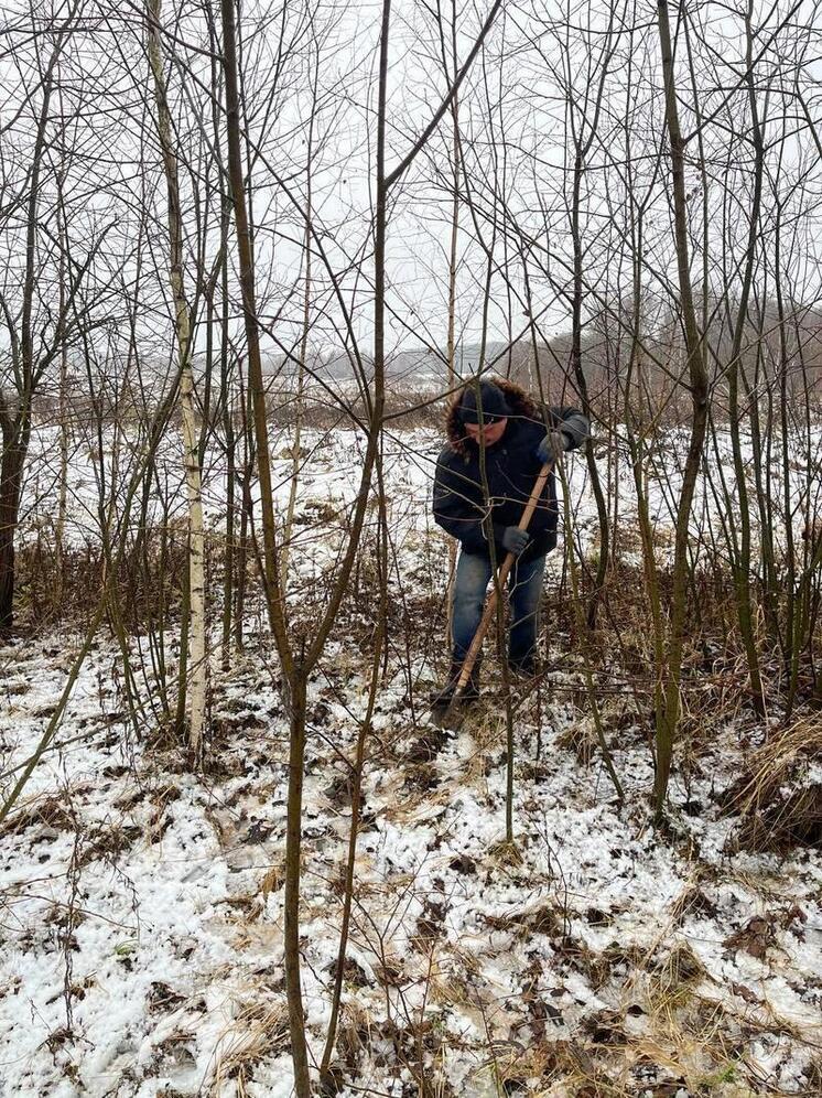 Калужане разобьют в Первомайске березовый сад