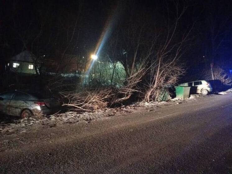 В Горно-Алтайске пешеход-нарушитель пострадал при столкновении двух иномарок