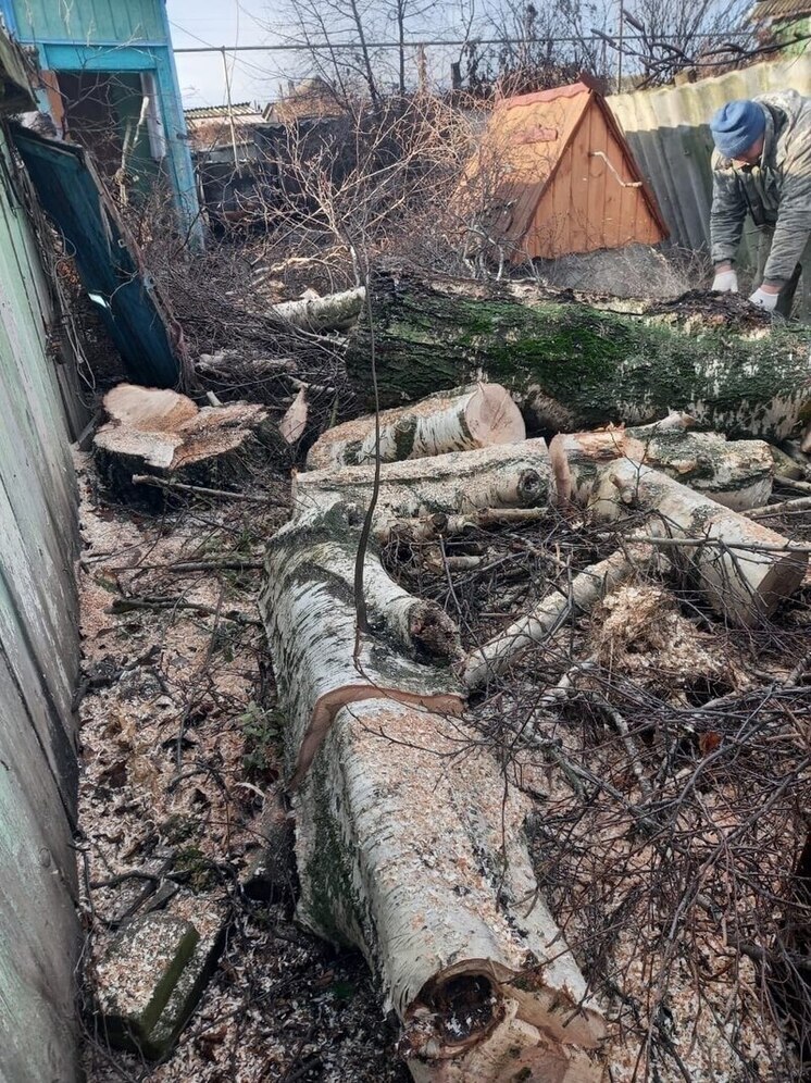 В Лунинском районе по обращению матери участника СВО убрали аварийную берёзу