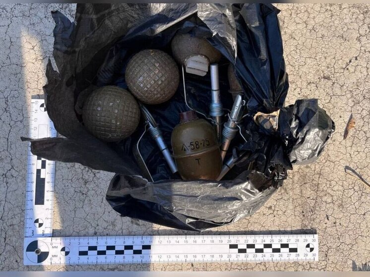 В Мелитополе обнаружен схрон боеприпасов