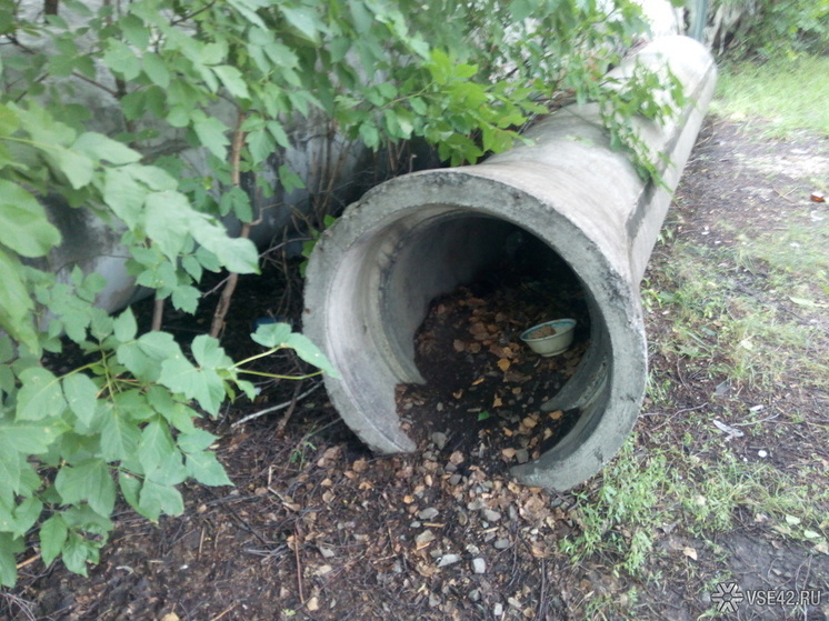 В Кемерове намечено строительство канализационного коллектора стоимостью 8 миллиардов рублей