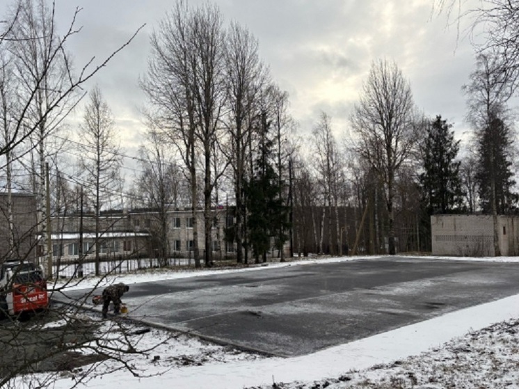 Стали известны сроки завершения работ по обновлению парка на Птицефабрике