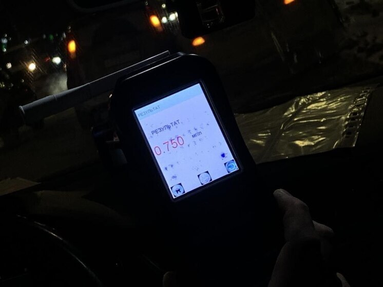 В этом году в Марий Эл случилось около 90 ДТП с нетрезвыми водителями