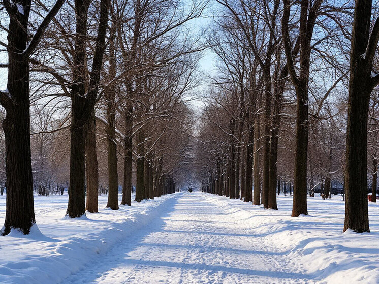 Парк «Строитель» в Комсомольске-на-Амуре отремонтируют за счет федералов