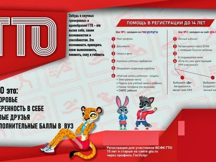 Знаки отличия ГТО получили 66 тысяч жителей Владимирской области