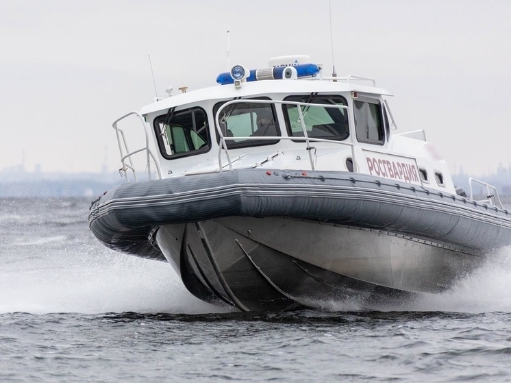 Самарские росгвардейцы поучаствовали в 115 рейдах на Волге в 2025 году