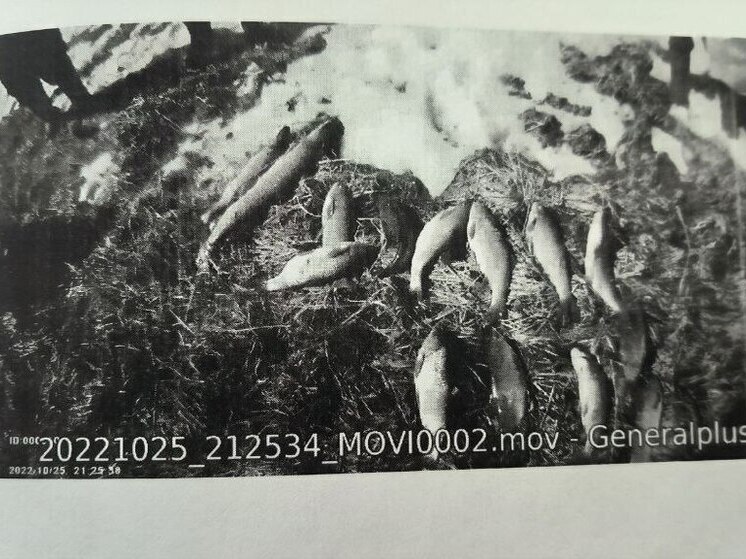 В Нижневартовском районе осудили браконьеров за незаконный вылов рыбы