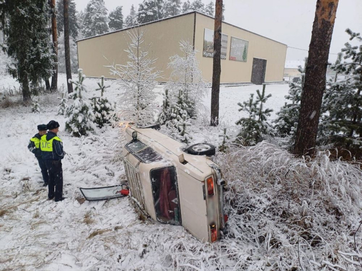 Во Владимирской области произошло 366 ДТП