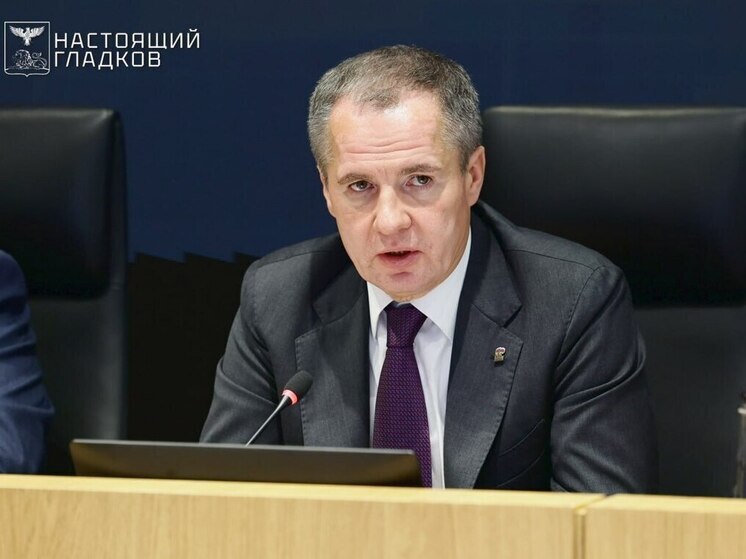 Политтехнолог оценила пять лет работы Гладкова во главе Белгородской области