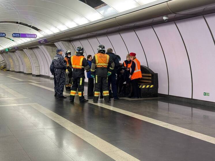 В Петербурге девушка сорвалась на пути метро на станции «Волковская»