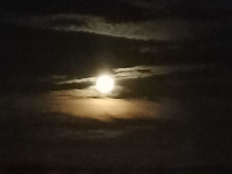 Следователи проверят опасную дорогу, по которой ходят в школу дети в Сосново