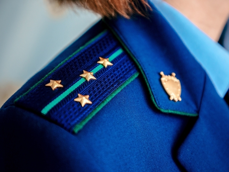 Суд взыскал с дроппера 110 тысяч рублей в пользу пенсионерки из Тверской области